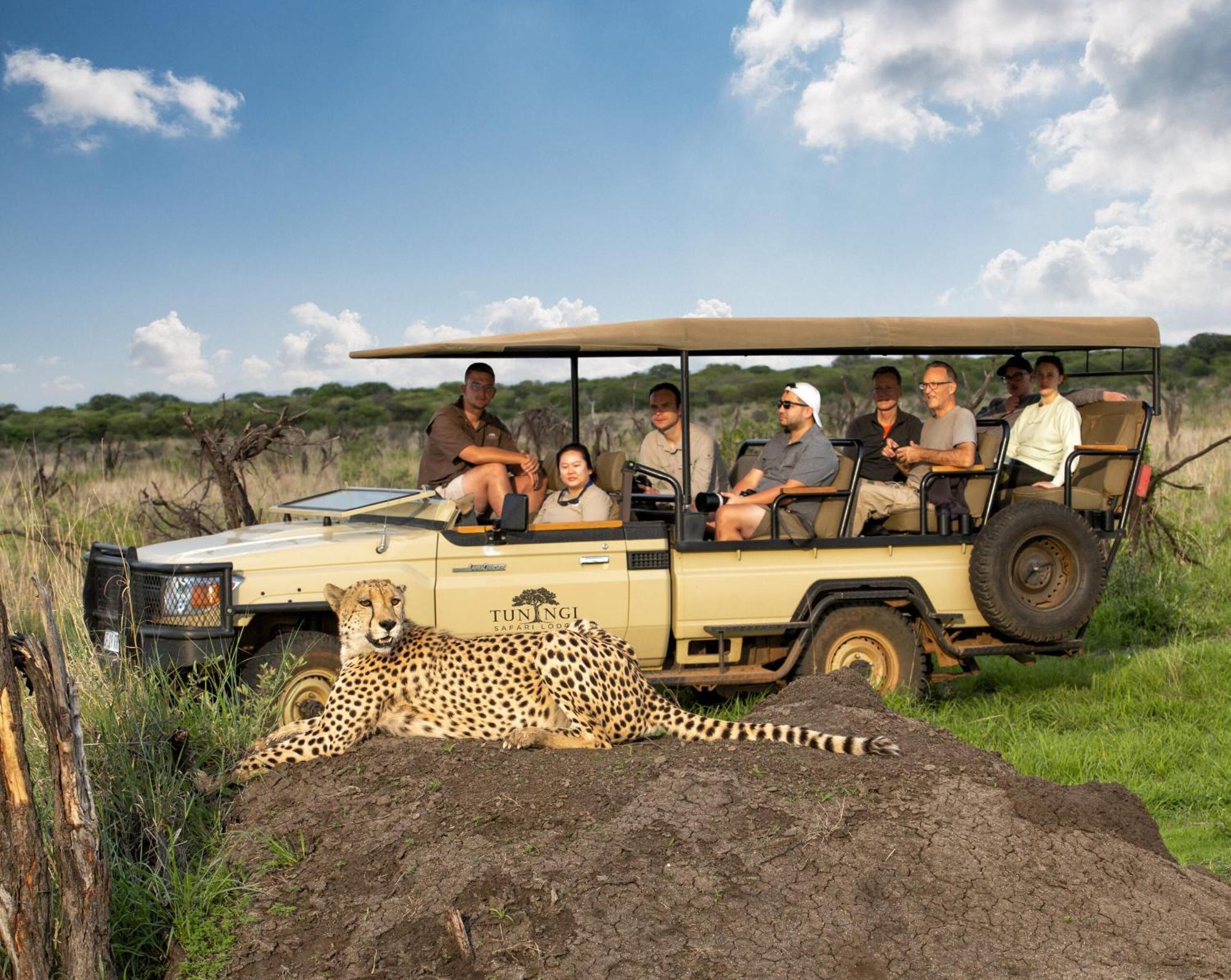Tuningi Safari Lodge Madikwe Game Reserve Zewnętrze zdjęcie