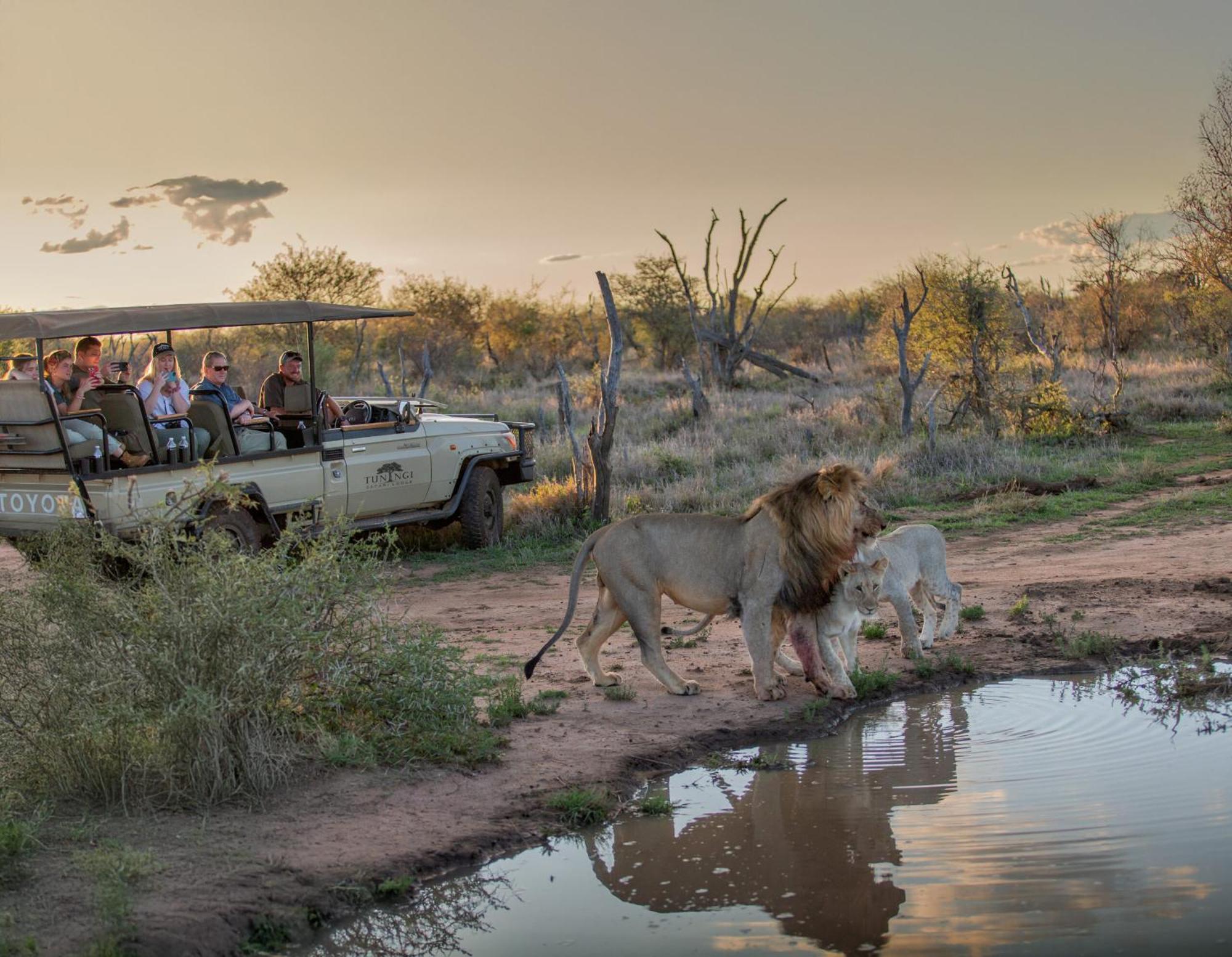Tuningi Safari Lodge Madikwe Game Reserve Zewnętrze zdjęcie