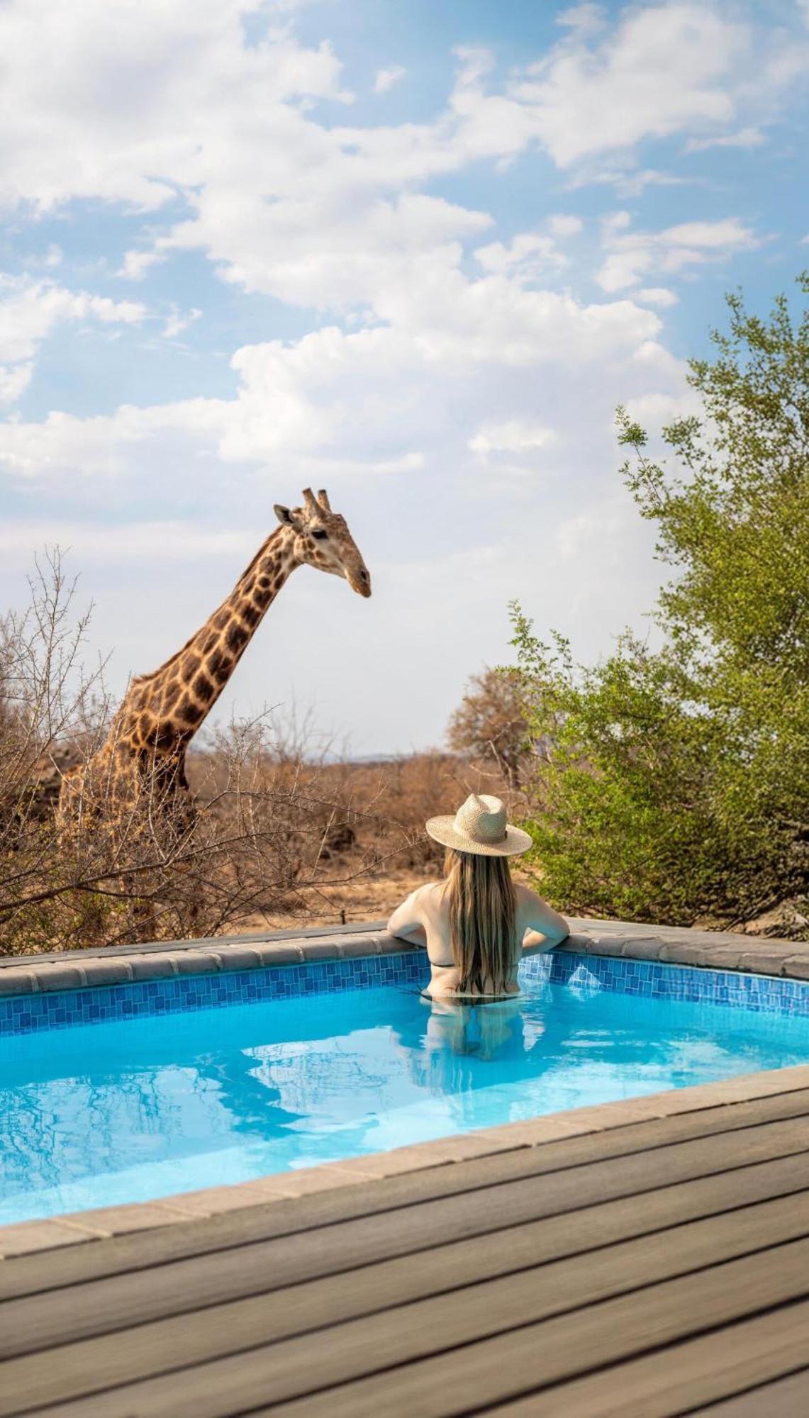 Tuningi Safari Lodge Madikwe Game Reserve Zewnętrze zdjęcie